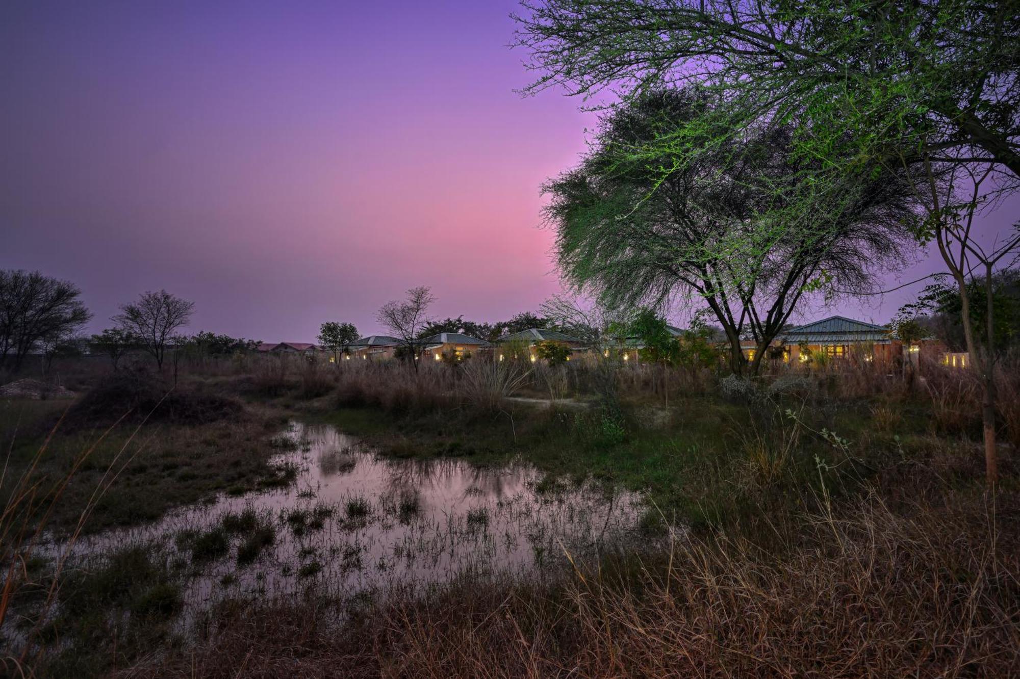 Bagh Serai Sawai Madhopur Luaran gambar